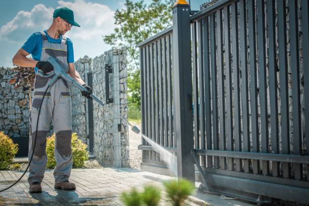 Best Roof Cleaning and Mildew Removal in Collinwood, TN