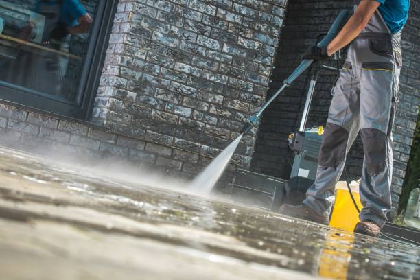 Best Fence Cleaning and Maintenance in Collinwood, TN