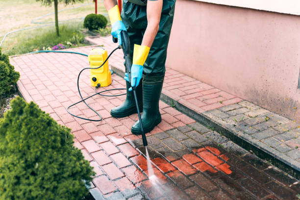 Best Deck and Patio Pressure Washing in Collinwood, TN