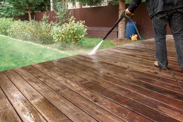 Best Vinyl Siding Pressure Washing in Collinwood, TN