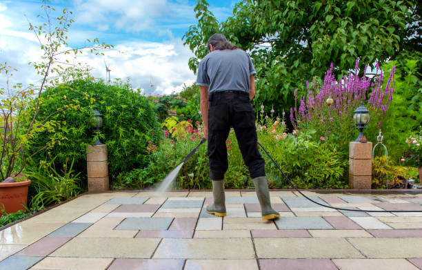 Professional Pressure Washing Services in Collinwood, TN