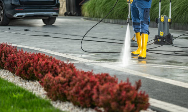 Best Concrete Surface Cleaning in Collinwood, TN