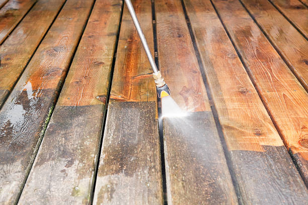 Best Soft Washing for Delicate Surfaces in Collinwood, TN