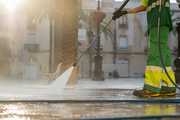 Best Driveway Cleaning and Restoration in Collinwood, TN