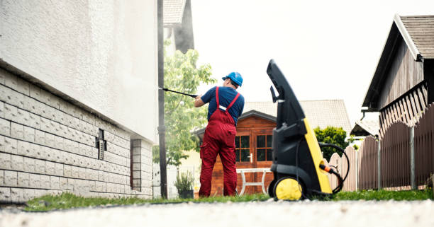 Best Window and Screen Pressure Cleaning in Collinwood, TN